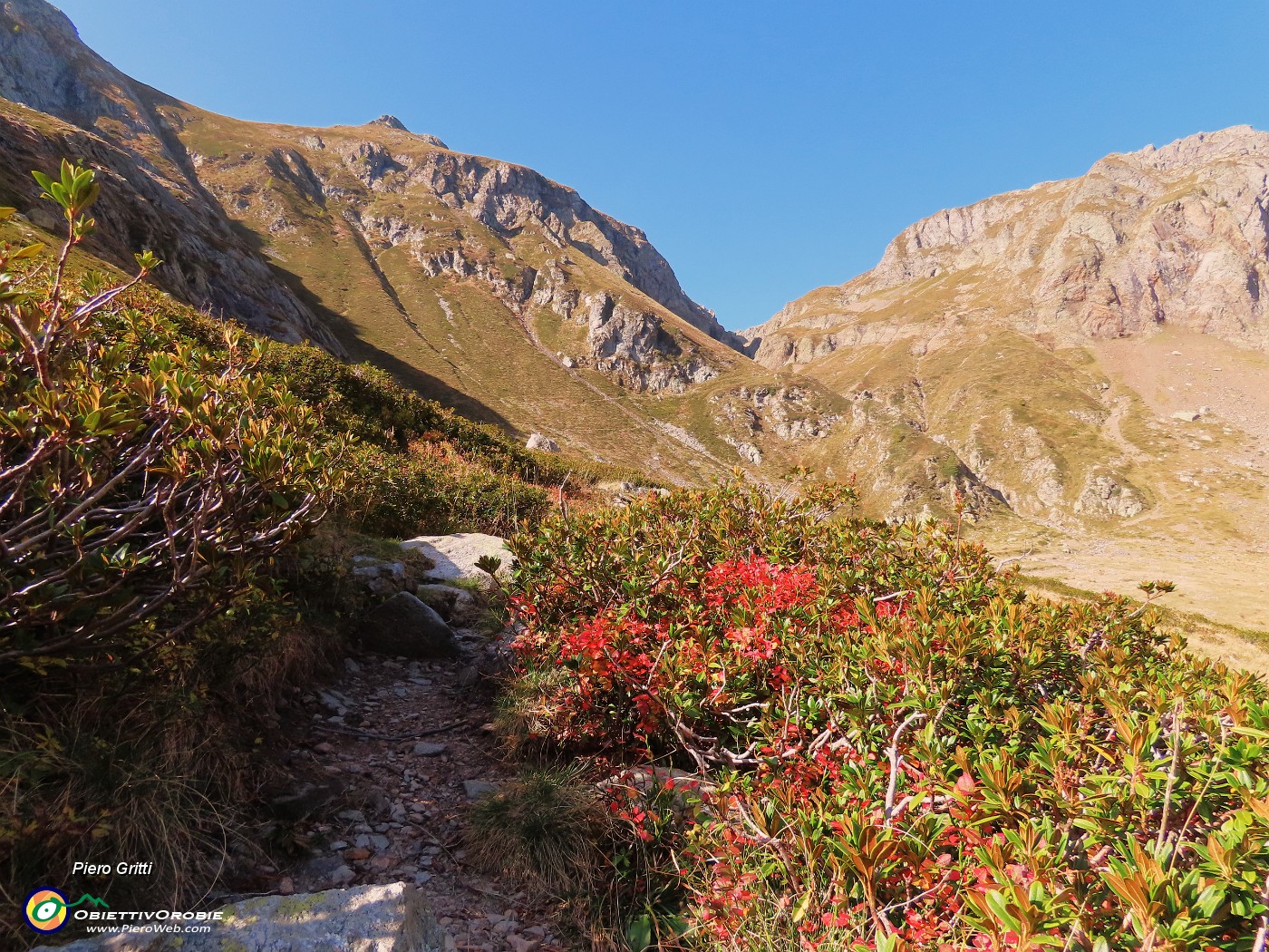 12 Sul Sentiero dei vitelli-108A caldi colori d'autunno .JPG